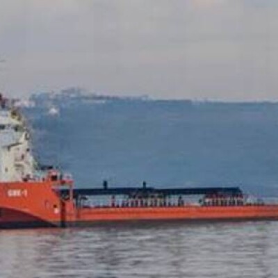 Self Propelled Pontoon Ship with DP-1