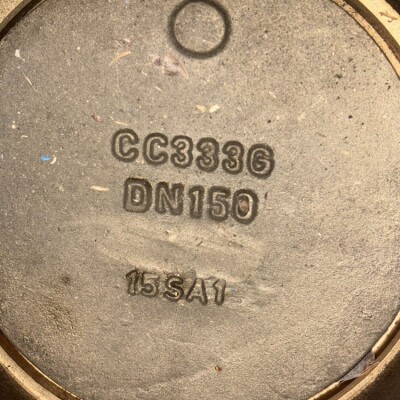 Econosto Bronze Check Valve DN150 PN16-1