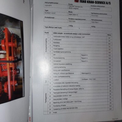 Hadef Runway hoist and trolley-4