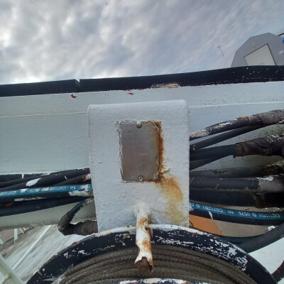 TTS Davit with 3,5T lifting capacity-2