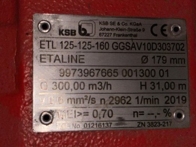 KSB Etaline Pump with WEG Motor – 31m Head, 300m³/h
