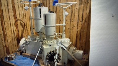 NEW CAMERON SURFACE TREES FOR SALE