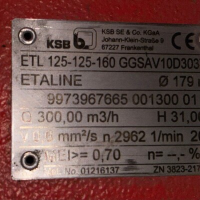 KSB Etaline Pump with WEG Motor – 31m Head, 300m³/h-2