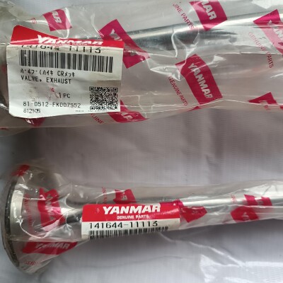 YANMAR M200 VALVE EXHAUST-2